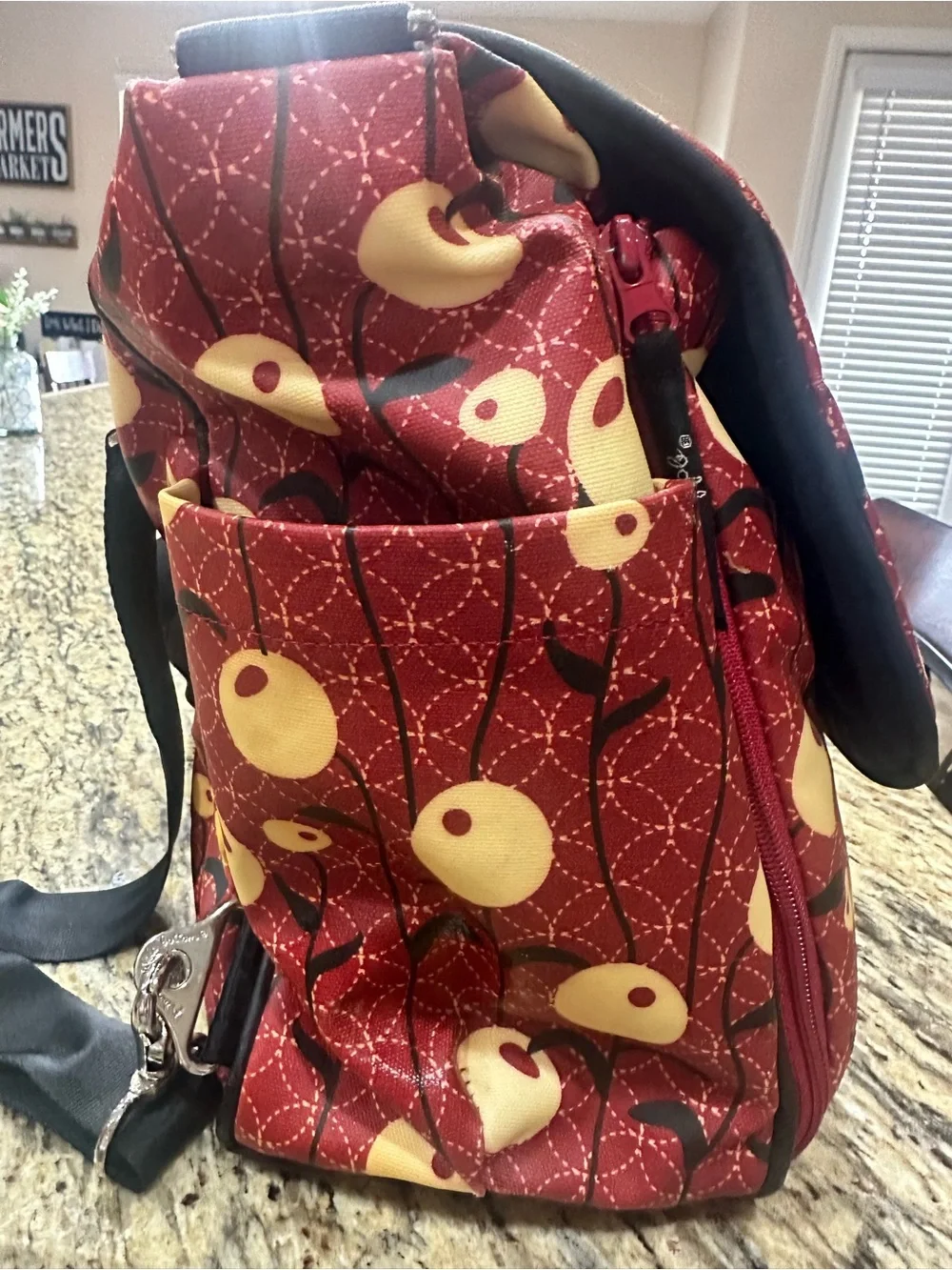 Petunia Pickle Bottom Red Floral Diaper Bag